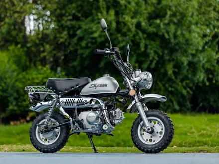 Skyteam harmaa scaled