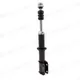 706200658_front_shock_2.jpg