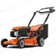AH-261147