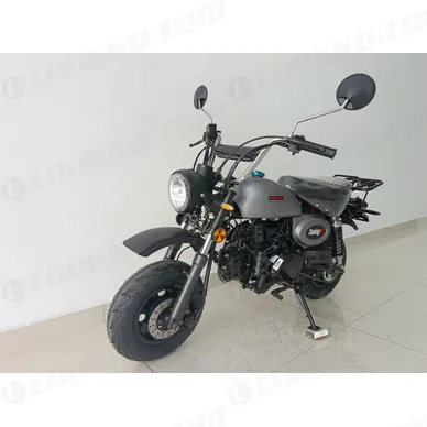 IMG_1600-kopio-scaled kuva