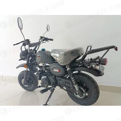 IMG_1603-kopio-scaled kuva