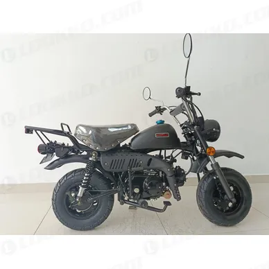 IMG_1605-kopio-scaled kuva