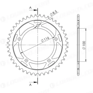 bcfd56d40704418b7c8f802e1dd558e5 kuva
