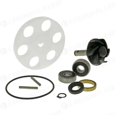91080ee1359cd31e2060bb8646d750ec kuva