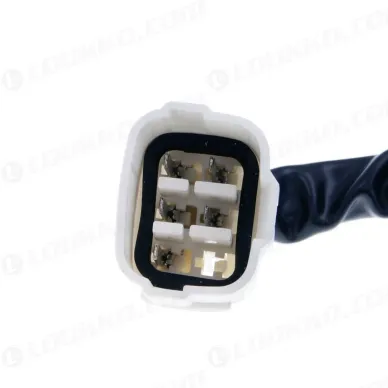 0b71ab4e0624a5fa3e9c694367c38b9b kuva