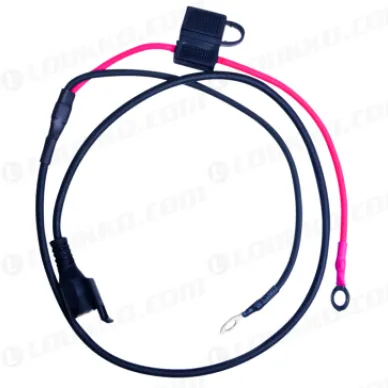 afd476af299c8b20e45f37b0b6340d9d kuva