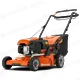 LX-508189