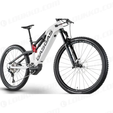 PHO BIKE DET GAS 22 LightTrail 20 black white 2 SALL AEPI V1 kuva