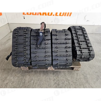 20260811 074606 kuva