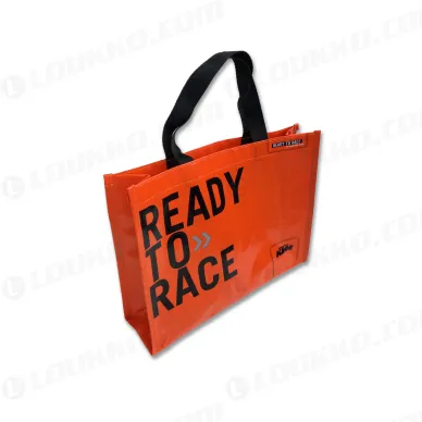 pho_ds_nmon_ktm_messetasche_klein_original__sall__awsg__v1 kuva