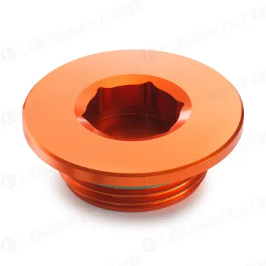 pho_pp_nmon_2213099404404_ignition_cover_plug__sall__awsg__v1 kuva