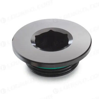 pho_nmon_22130994044c1_ignition_cover_plug__sall__awsg__v1 kuva