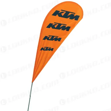 pho_ds_mon_5_beachflag__sall__awsg__v1 kuva