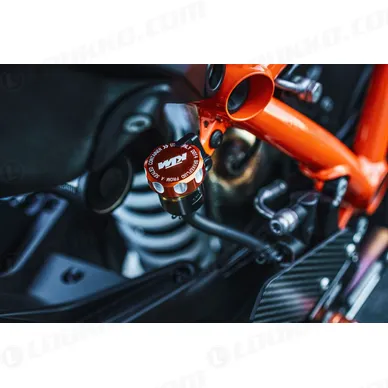 pho_pp_mon_61313962000__sall__awsg__v1 kuva