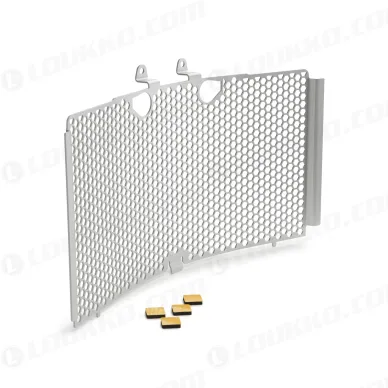 pho_nmon_63535940044_radiator_protection__sall__awsg__v1 kuva