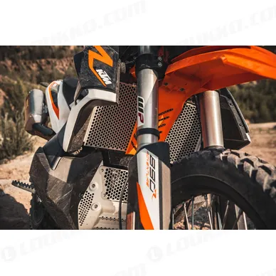 pho_pp_mon_63535940044_radiator_protection_grille_detail__sall__awsg__v1 kuva