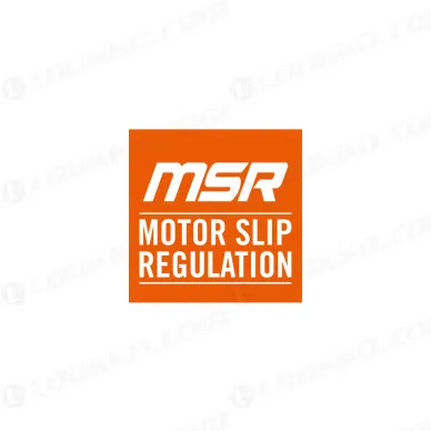 pho_pp_nmon_msr_motor_slip_regulation__sall__awsg__v1 kuva