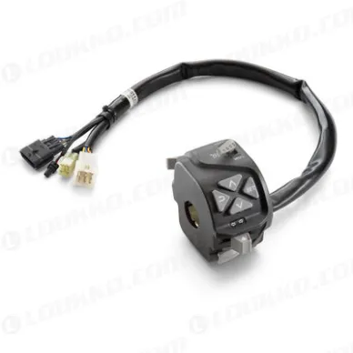pho_pp_nmon_76011270100_combination_switch__sall__awsg__v1 kuva