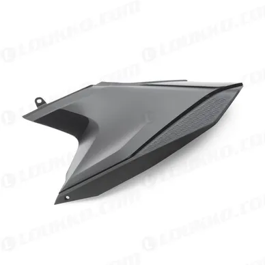 pho_pp_nmon_486915_76908041200c11_rear_fairing_studio_pictures_street__sall__awsg__v1 kuva