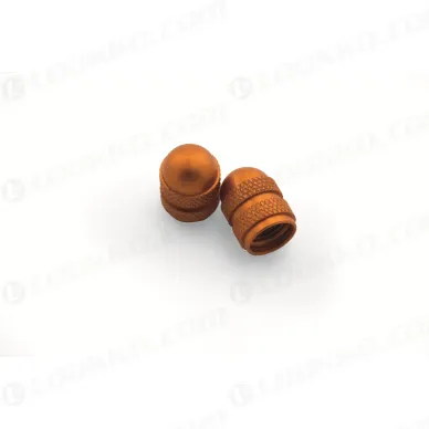 pho_pp_nmon_u6951439_7771097615004_shrader_valve_caps__sall__awsg__v1 kuva