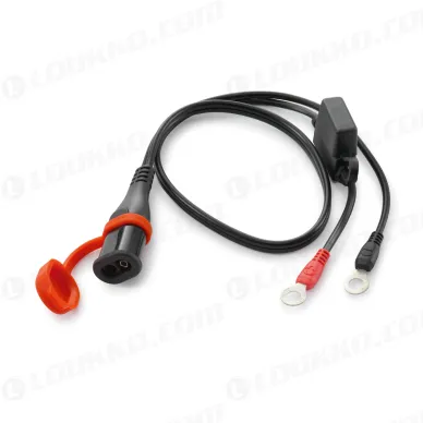 pho_nmon_79629974010_ladekabel__sall__awsg__v1 kuva