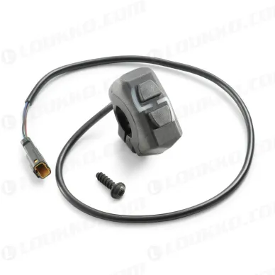 pho_nmon_a44039974044_combination_switch_studio_pictures_offroad__sall__awsg__v1 kuva