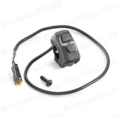 pho_nmon_a46039974044_combination_switch__sall__awsg__v1 kuva