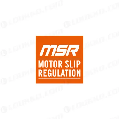 pho_pp_nmon_msr_motor_slip_regulation__sall__awsg__v1 kuva