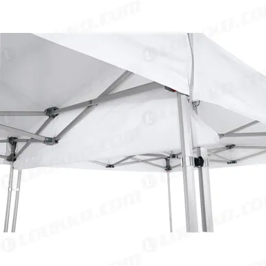 pho_ds_nmon_regenrinne_1__sall__awsg__v1 kuva