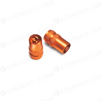 pho_pp_nmon_u6908840_schrader_valve_cap__sall__awsg__v1 kuva