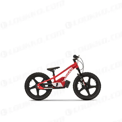 PHO BIKE 90 RE GASGAS MC E 1 20 MY23 90 right SALL AEPI V1 kuva