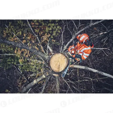 Nayttokuva 2024 02 15 124002 kuva