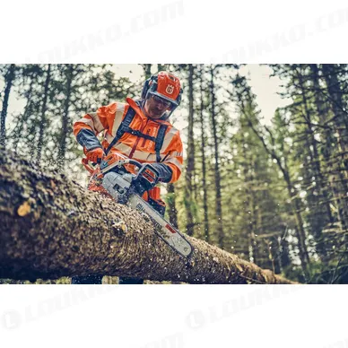 Nayttokuva 2024 02 15 124034 kuva