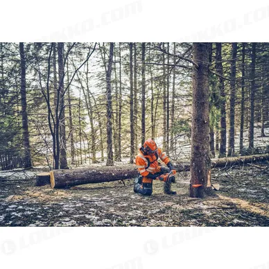 Nayttokuva 2024 02 15 124101 kuva