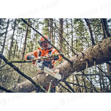 Nayttokuva 2024 02 15 124129 kuva