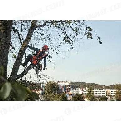 Nayttokuva 2024 02 15 125652 kuva