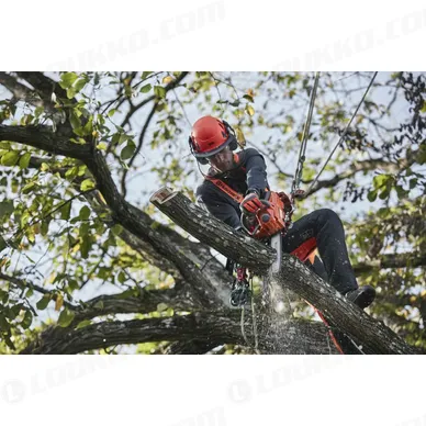 Nayttokuva 2024 02 15 125744 kuva