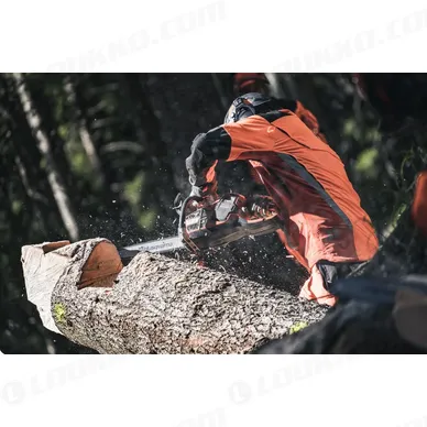 Nayttokuva 2024 02 15 131852 kuva