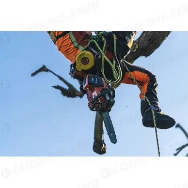 Nayttokuva 2024 02 15 142935 kuva