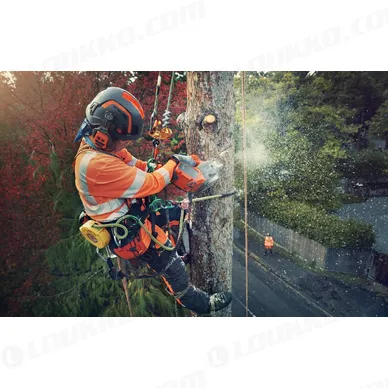 Nayttokuva 2024 02 15 142956 kuva