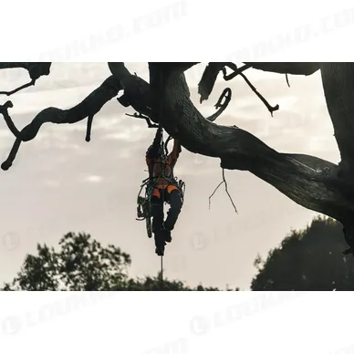 Nayttokuva 2024 02 15 143016 kuva