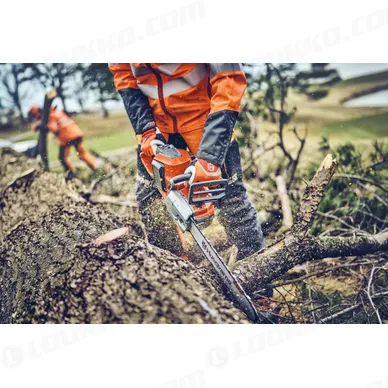 Nayttokuva 2024 02 16 110347 kuva