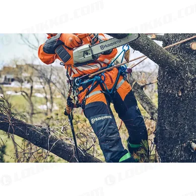 Nayttokuva 2024 02 16 112518 kuva