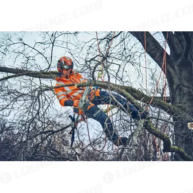 Nayttokuva 2024 02 16 112543 kuva