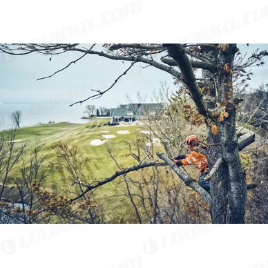 Nayttokuva 2024 02 16 112605 kuva