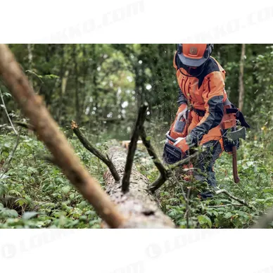 Nayttokuva 2024 02 16 114841 kuva