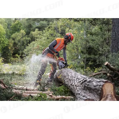 Nayttokuva 2024 02 16 114915 kuva