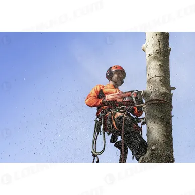 Nayttokuva 2024 02 16 115028 kuva