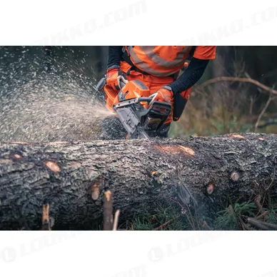 Nayttokuva 2024 02 16 123329 kuva