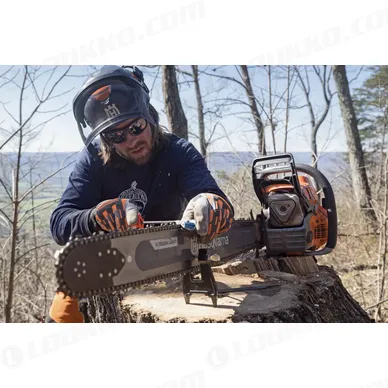 Nayttokuva 2024 02 16 123443 kuva